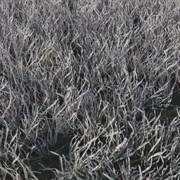 Grass Small Clump Dry