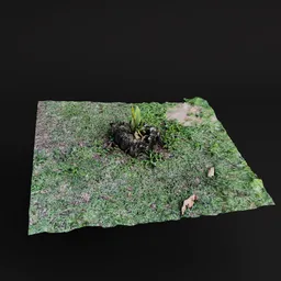 Tree stump