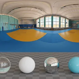 Wrestling Gym