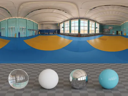 Wrestling Gym