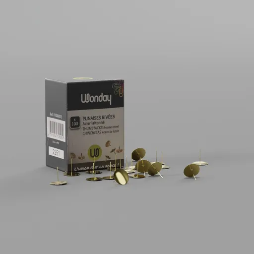 Wonday 100 Pins Box