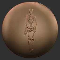 Full Skeleton