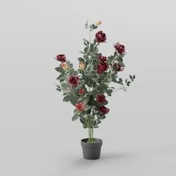 Potted Red Rose Bush