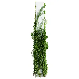 Plants Hanging On Pillars