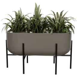 Highly detailed Blender 3.6 indoor plant 3D model in centimeters, rendered with Cycles, available in blend format.