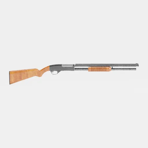12 Gauge Shotgun
