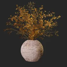 pampas Plant