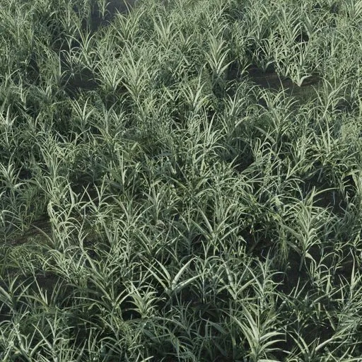 Realistic 3D grass model, game-ready for Blender, detailed foliage texture, seamless integration for virtual environments.