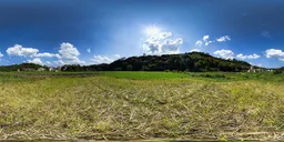 Fields during the day