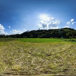 Fields during the day
