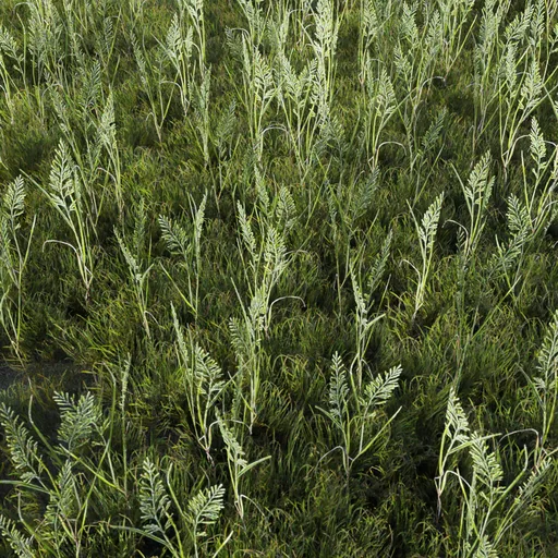 Realistic 3D model of tall green grass, optimized for Blender, perfect for game scenes and surfaces.