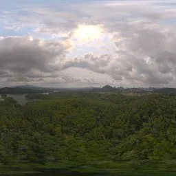 Cloudy during the day, forest HDRIs