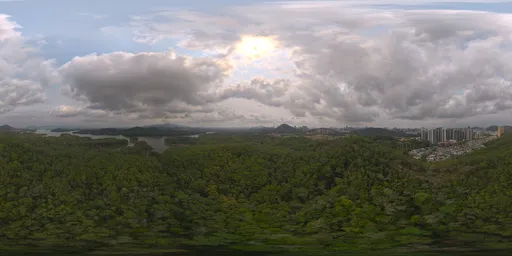Cloudy during the day, forest HDRIs