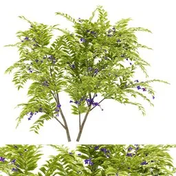 flower bush plant