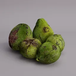 Avocado realistic pack