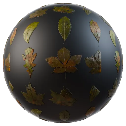 Leaves atlas