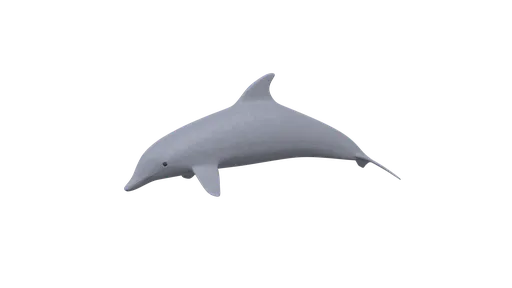 High-quality cartoon-style dolphin 3D model, optimized for Blender, showcasing all-quads mesh ideal for CG projects.