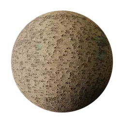 Osmanthus fragrans Bark