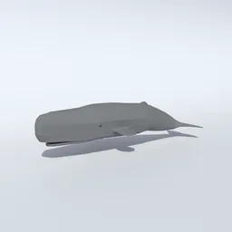 Low Poly Animated Sperm Whale