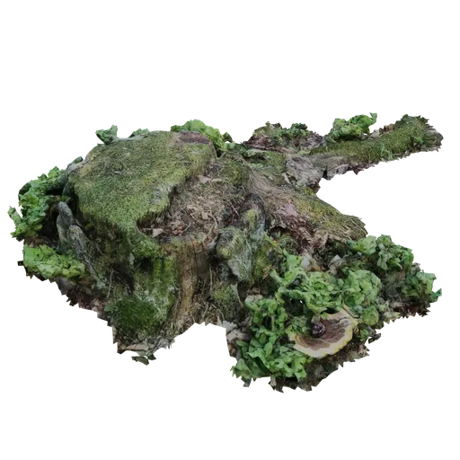 Stump with vegetation 3D Scanned