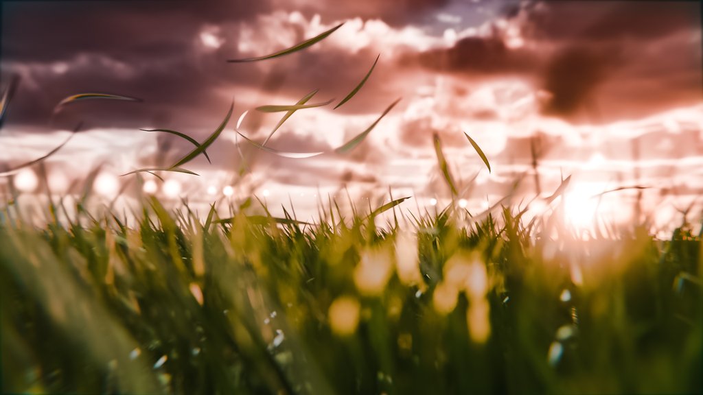 windy-outdoor-country-grass-field-nature-scenes-blendkit