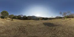 360-degree HDR panorama with warm sunlight, outdoor scenery, perfect for realistic lighting in 3D scenes.