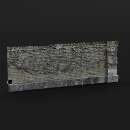 Wall with Vines (Photoscanned)