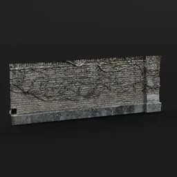 Wall with Vines (Photoscanned)