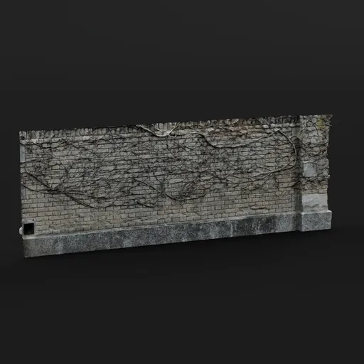 Wall with Vines (Photoscanned)