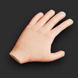 Stylized Hand LOWPLOY