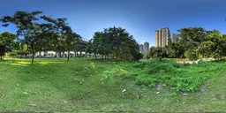 Green grass during the day