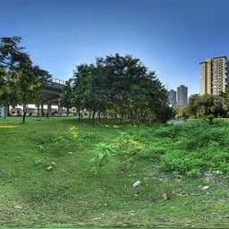 Green grass during the day