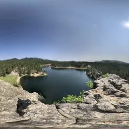Forst Lake Green Blue Sky