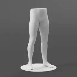 Male Mannequin Legs Generic