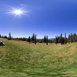 Sunny Blue Sky Day Park