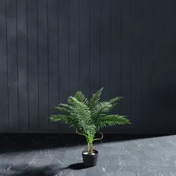 "Artificial fern Cyathea 90 cm 3D model for indoor nature scenes in Blender 3D. Realistic-looking plant in a pot with black vertical slatted timber. Perfect for adding greenery to any virtual space."