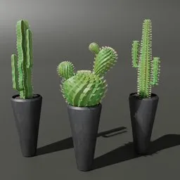 Cactus set 02