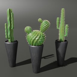 "High-quality indoor cactus plant set 02 3D models for Blender 3D, featuring three different varieties in black pots on a gray surface. Perfect for interior design, architecture, and speculative future projects with a touch of Disney animation style."