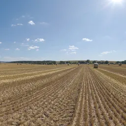 Hay Bales