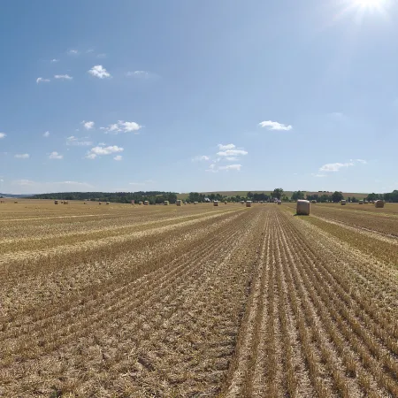 Hay Bales