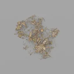 Dry Grass