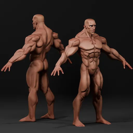 Stylized Mascular Model - Rigged