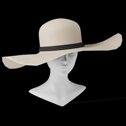 Wide Brim Women's Summer Hat