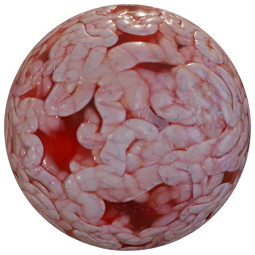 Brain