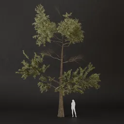 SJ-Verdant Rise Pine Tree