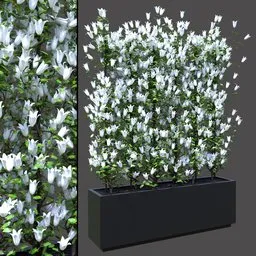 White Flower Privacy Screen