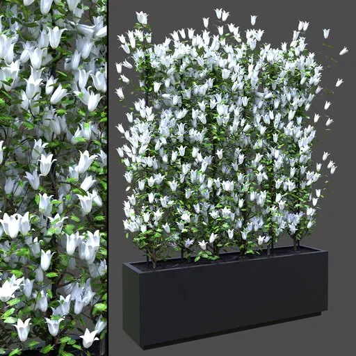 White Flower Privacy Screen