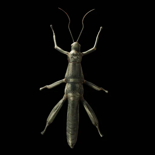 Realistic Bug