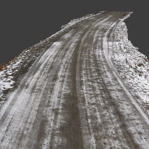 Winter Dirt Road Path Photoscan