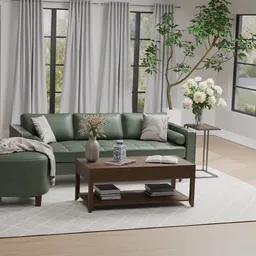 Living Room Scene